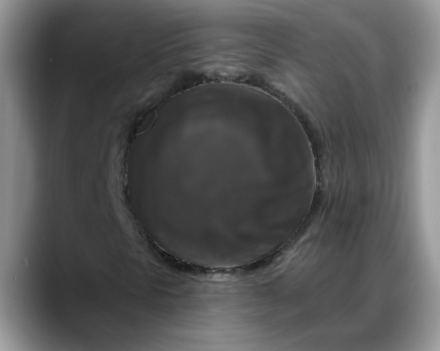 X0000088221297200705292105