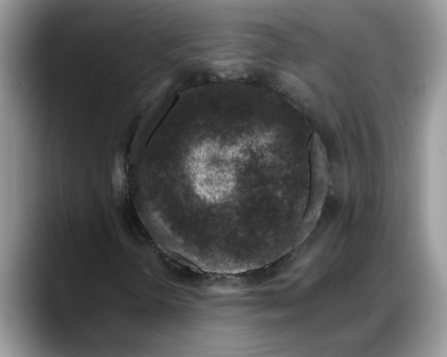 X0000088221298200705292105