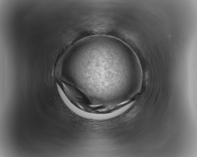 X0000088221300200705292105