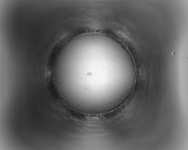 X0000088221302200705292105