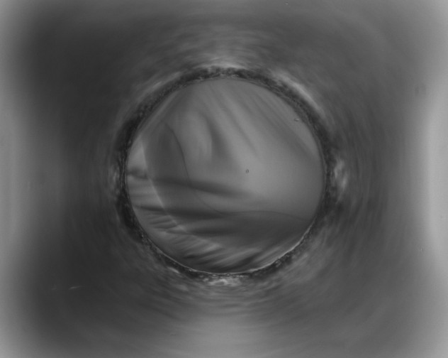 X0000088221303200705292105