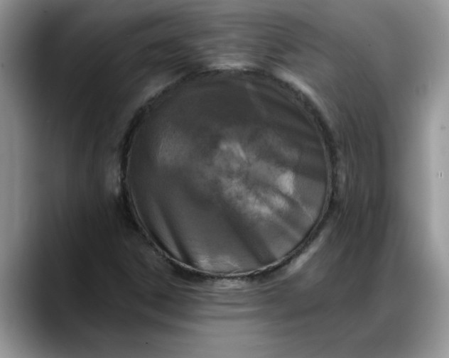 X0000088221306200705292105