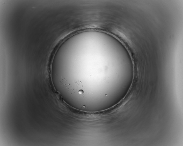 X0000088221308200705292105