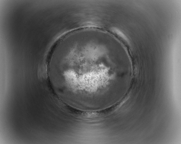 X0000088221310200705292105