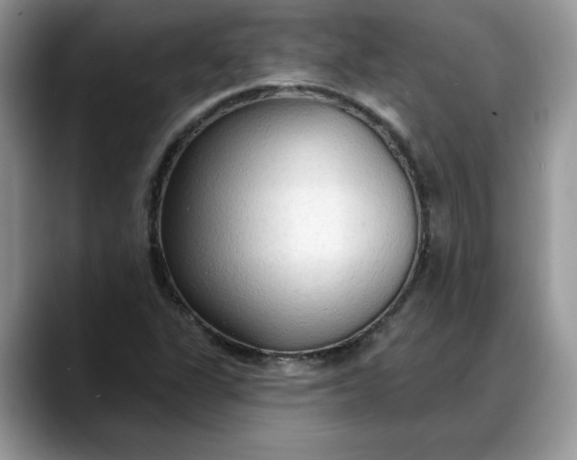 X0000088221311200705292105