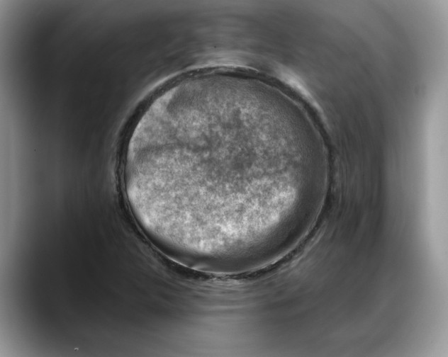 X0000088221312200705292105