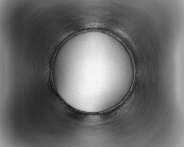 X0000088221313200705292105