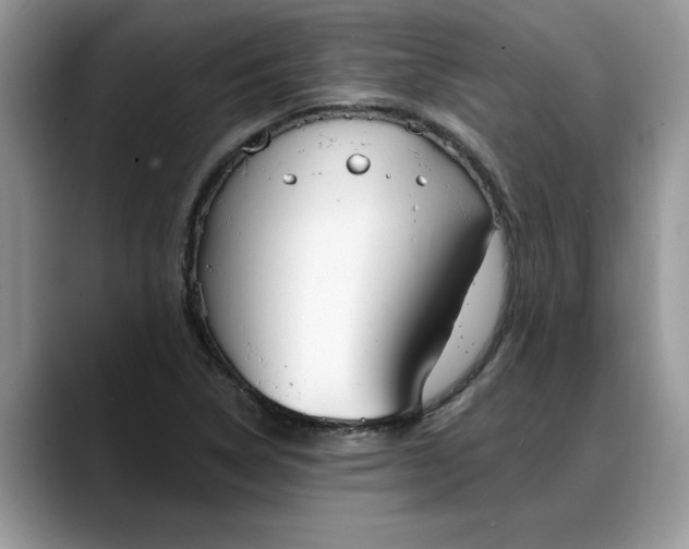 X0000088221314200705292105