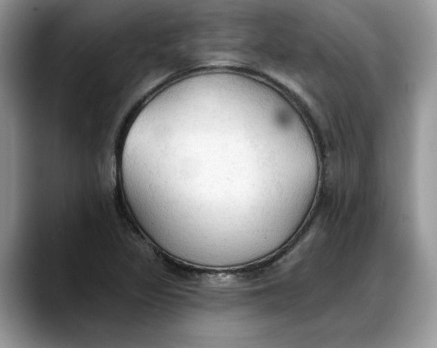 X0000088221317200705292105