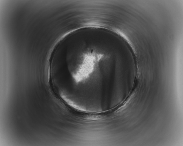 X0000088221323200705292105