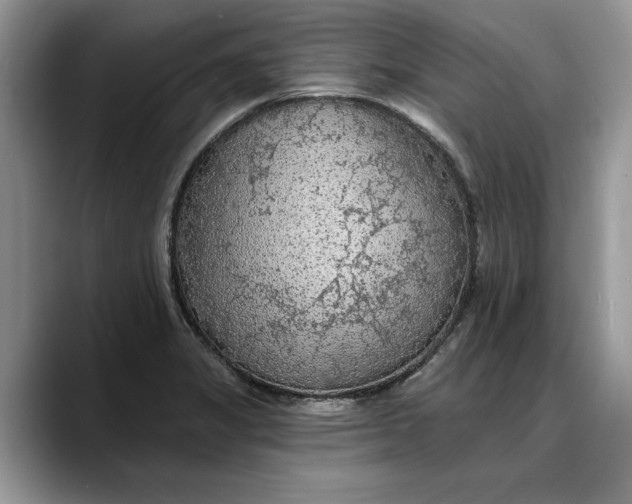 X0000088221325200705292105