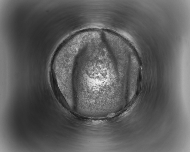 X0000088221326200705292105