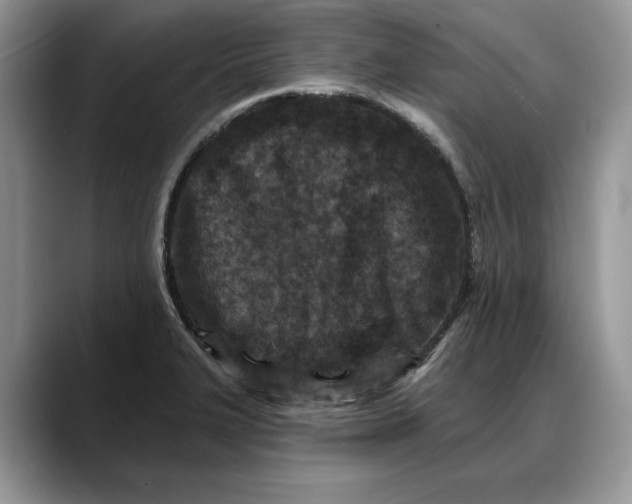 X0000088221327200705292105