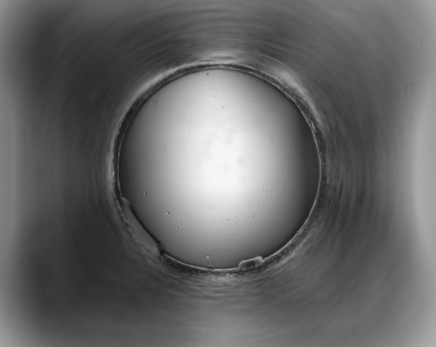 X0000088221328200705292105