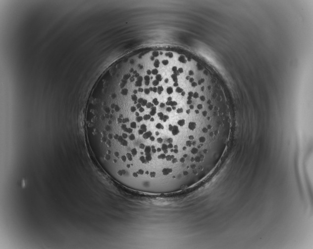 X0000088221329200705292105