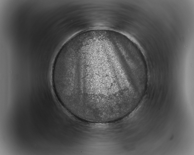 X0000088221333200705292105