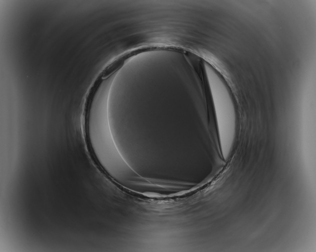 X0000088221334200705292105