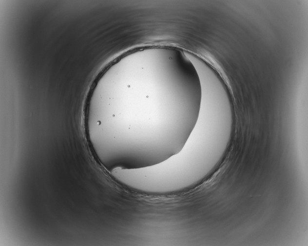 X0000088221336200705292105