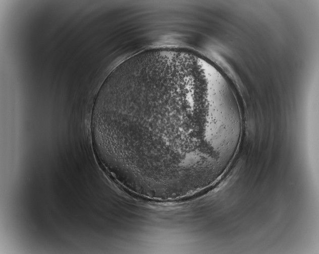 X0000088221337200705292106