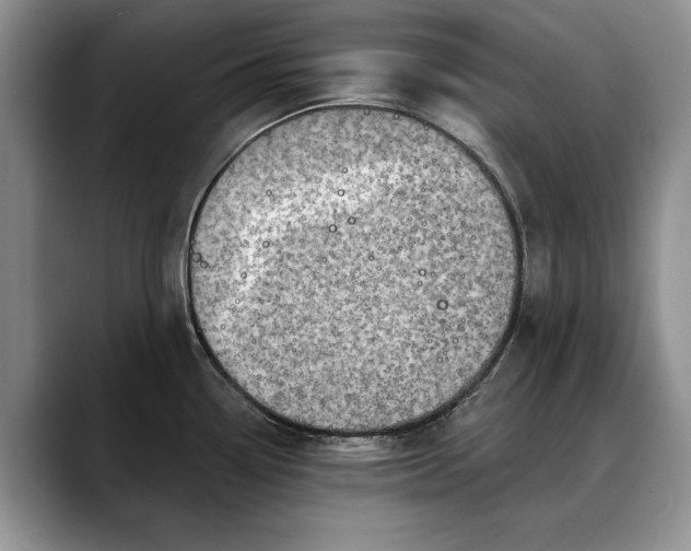 X0000088221338200705292106