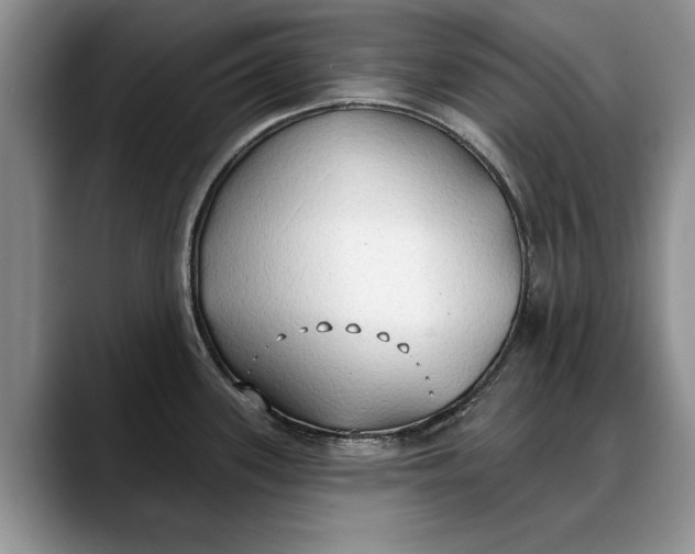 X0000088221339200705292106