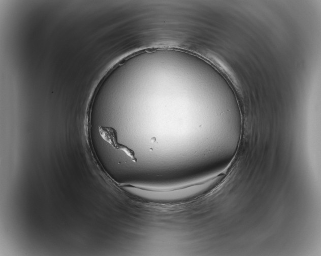 X0000088221340200705292106