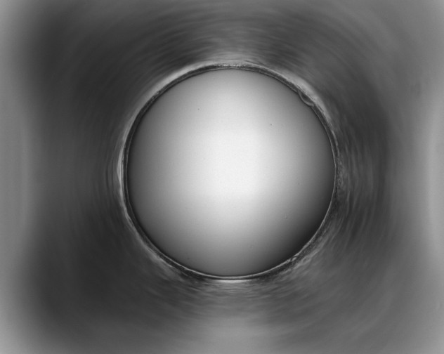 X0000088221343200705292106