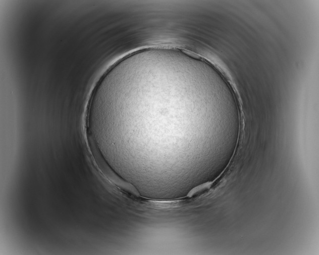 X0000088221344200705292106