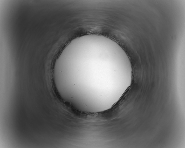 X0000088221345200705292105