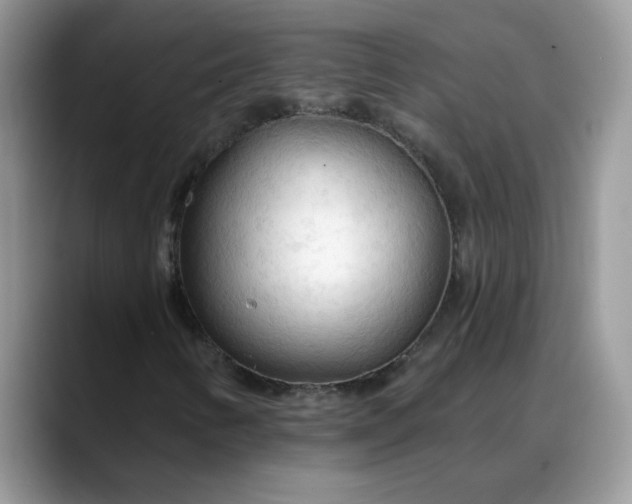 X0000088221346200705292105