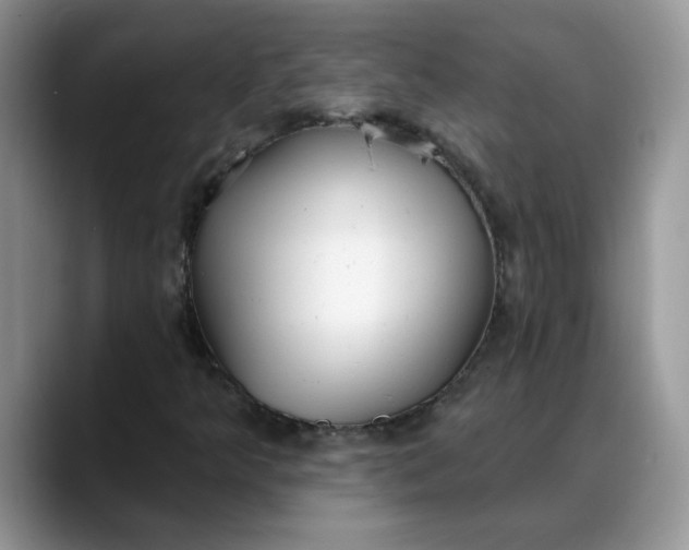 X0000088221349200705292105