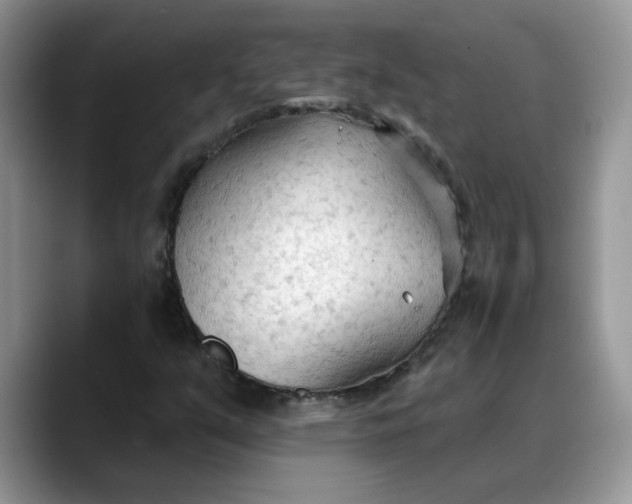 X0000088221351200705292105