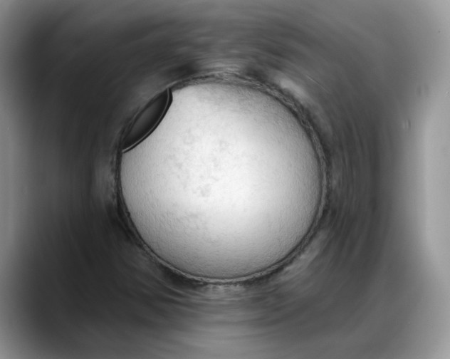 X0000088221354200705292105