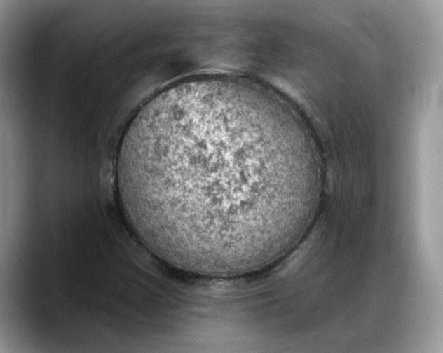 X0000088221355200705292105