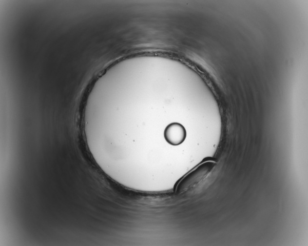 X0000088221357200705292105