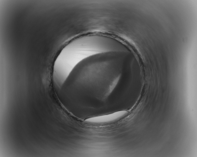 X0000088221359200705292105