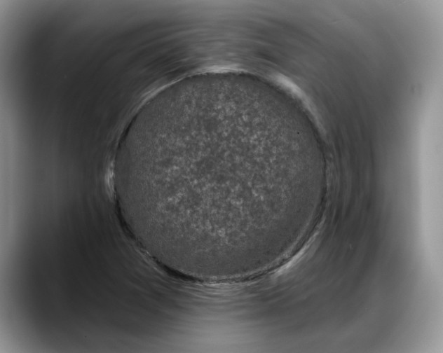 X0000088221361200705292105