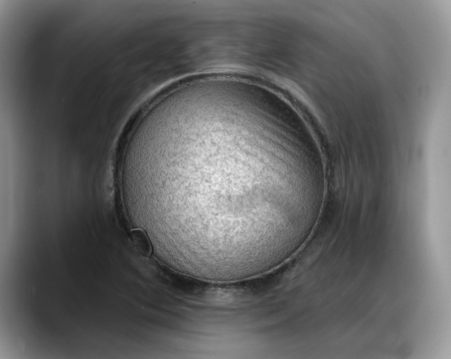 X0000088221364200705292105