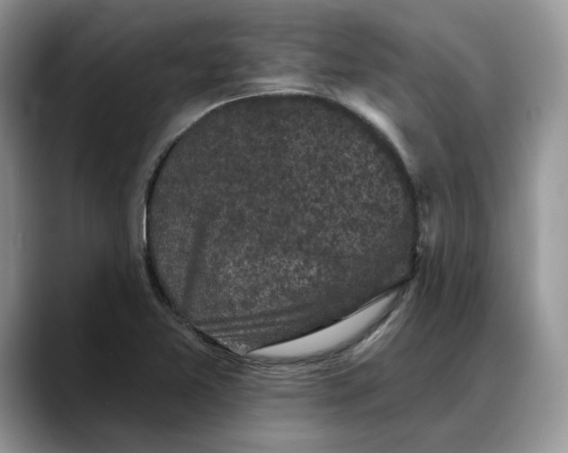 X0000088221365200705292105