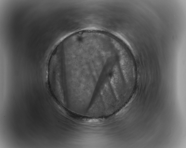 X0000088221367200705292105