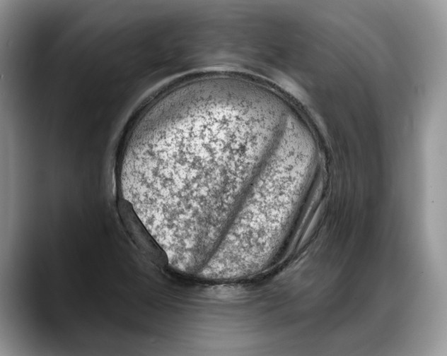 X0000088221368200705292104