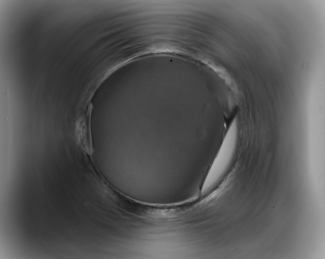 X0000088221369200705292104