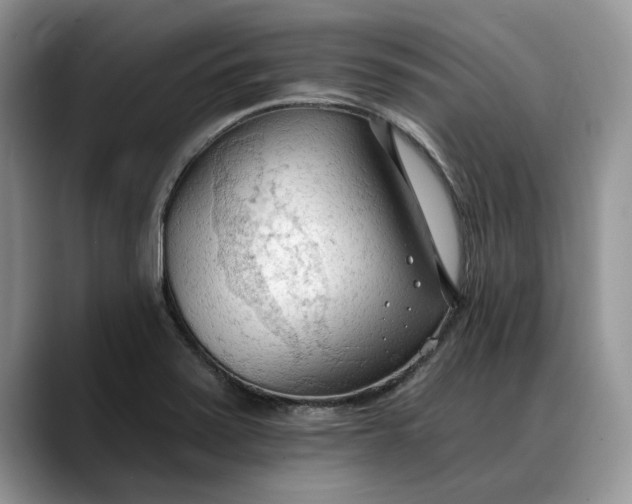 X0000088221371200705292104