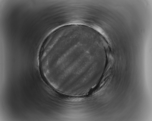 X0000088221372200705292104