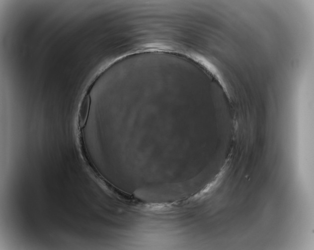 X0000088221373200705292104