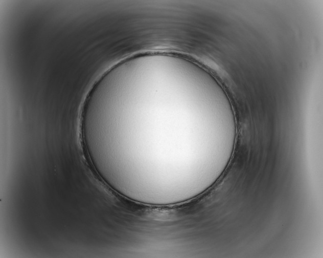 X0000088221374200705292104