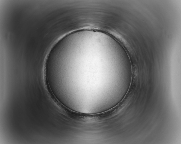 X0000088221375200705292104