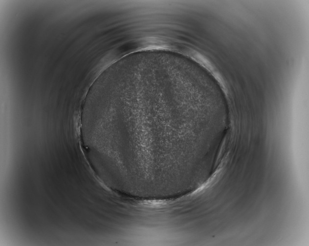 X0000088221377200705292104