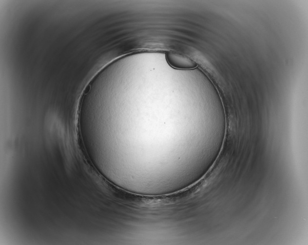 X0000088221378200705292104