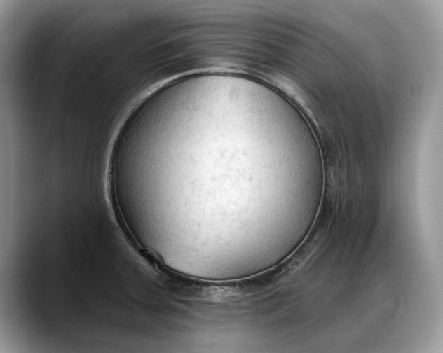 X0000088221379200705292104